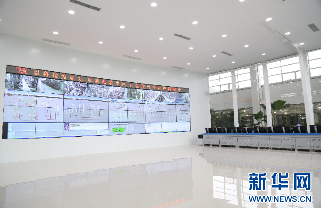 强信心·走进百企丨九游会药业：“数智化”助力中医药开启发展新篇章